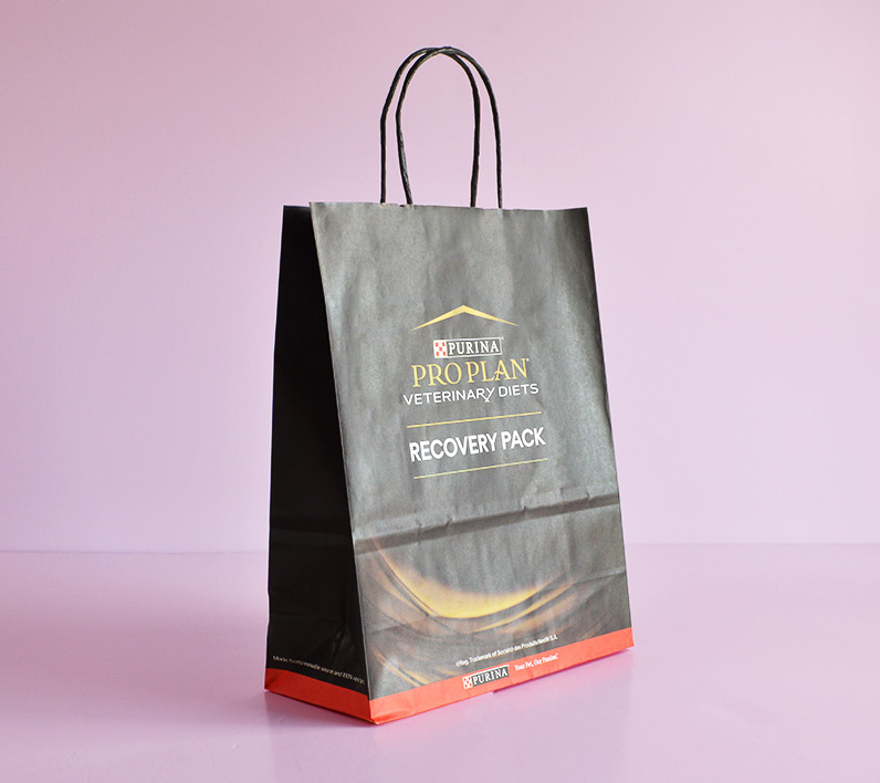 Plain Shopping Custom Logo Printed Paper Bags for Birthdays, Parties,  Ribbon, Capacity: 500gm